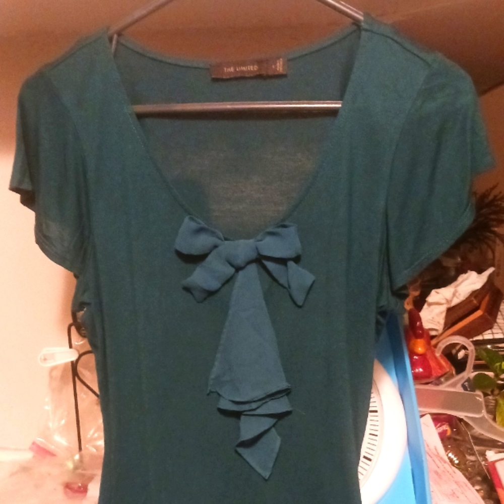 The Limited knit top